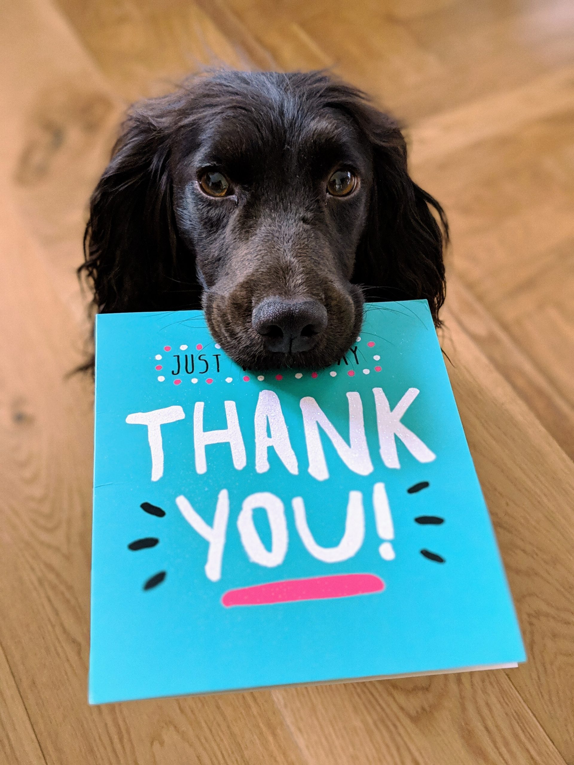 howie-r-CjI_2QX7hvU-unsplash howie-r-CjI_2QX7hvU-unsplash